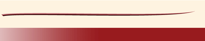 CattLeLogos Brand Management Systems